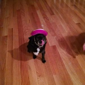 Meet your Posher, Carol